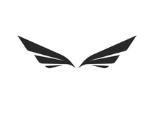 Wing  logo icon vector illustration
