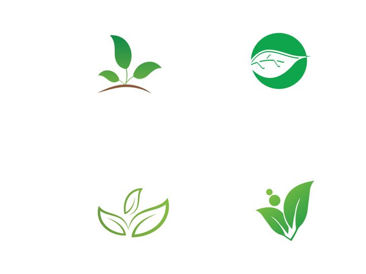 nature leaf logo