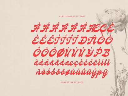 Nevroda Wisdom | Vintage Bold Script