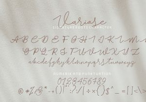 Variose - Luxe Signature Font Script