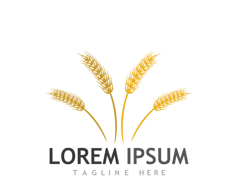 Organic wheat farm logo template.