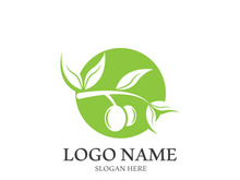 olive icon vector illustration design template