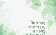 Abighail - Nature Script Font