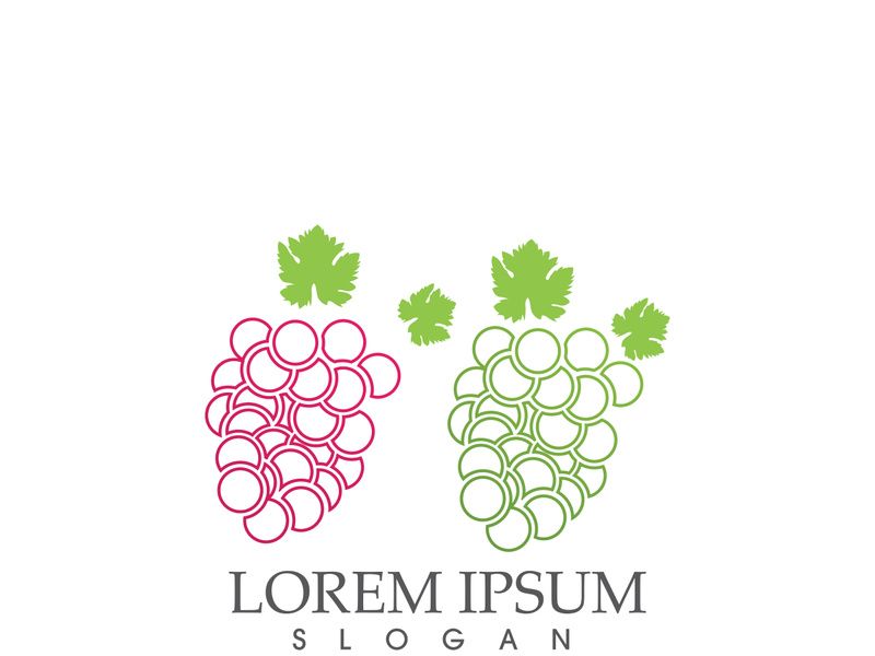 Grapes logo template vector icon illustration design