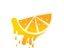 Orange logo design vector icon illustration