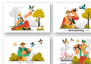 9 Bird Watching Activity Illustration