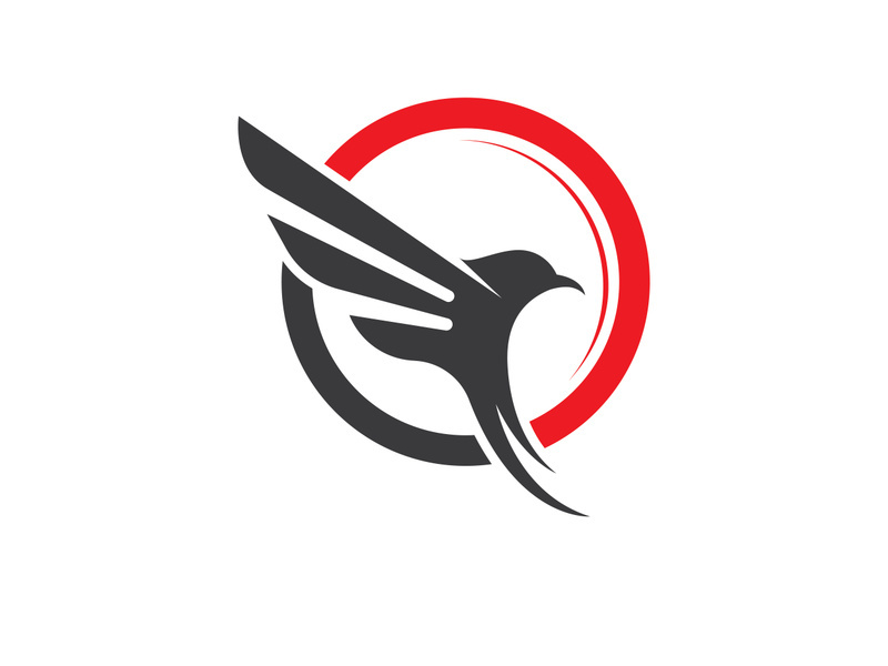 Wing bird logo vector