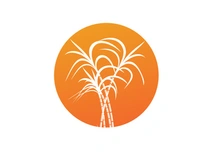 Sugarcane logo vectcr