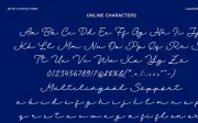 Unline - Handwritten Script Monoline Font