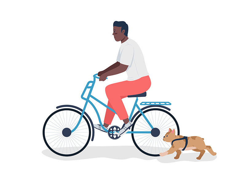 Man walks dog on bicycle semi flat color vector character