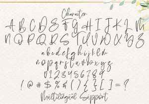 Sabina Angellica - Modern Script Font