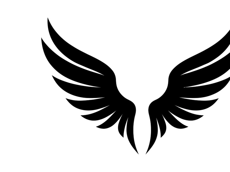 black bird wing logo vector