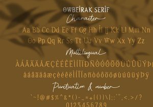 Owbeirak Collection