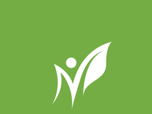 Leaf logo green nature vector image