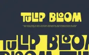 TinyTigra - Display Font