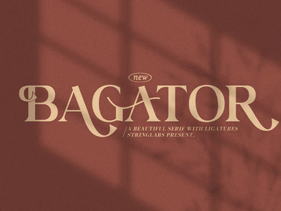 Bagator - Classic Serif Font