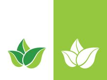 Logos of green tree leaf ecology nature element vector