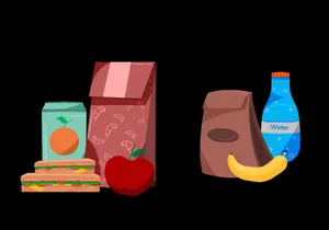 Lunch Box Illustration