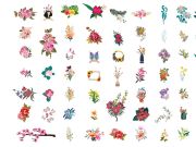 Vector Flower Watercolor Illustration