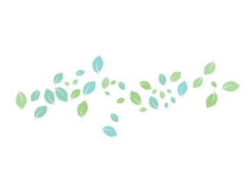 Mint Leaf icon template  illustration preview picture