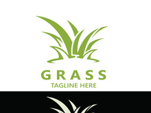 Grass logo image plant nature logo design template vector