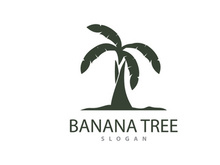 Banana Tree Logo, Banana Tree Simple Silhouette Design