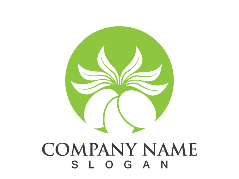 Extra virgin olive oil logo icon design vector illustration