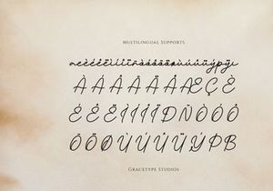 Pafilona | Monoline Script