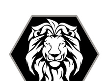 Lion logo