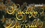 Kasfia Sirius | Classic Script