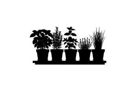 Silhouette of plants on a shelf in front of window