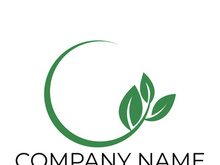 Green leaf logo design vector illustration