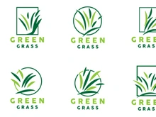 Green Grass Logo, Nature Plant Vector