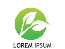 Natural green leaf logo design.