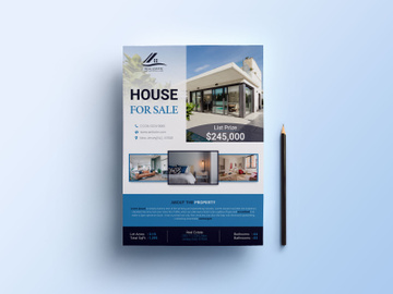 House sell flyer preview picture