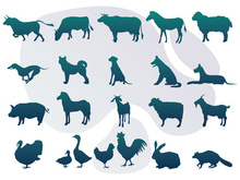 Animals : Silhouette Collection With Logo