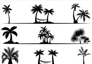 Palm Tree Collection and Silhouettes