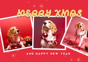 Christmas Pipow