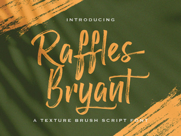Raffles Bryant - Textured Brush Font preview picture