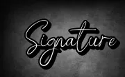 Sodiger Signature