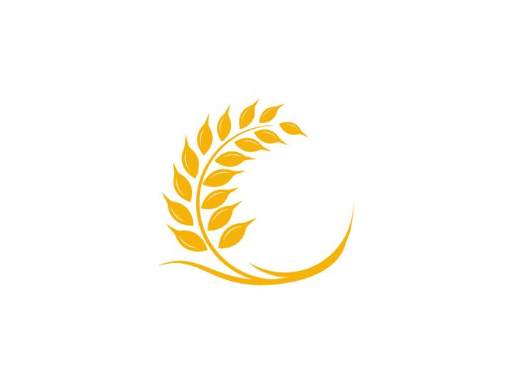 Agriculture wheat rice icon illustration