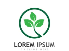 Natural green leaf logo design.