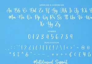 Berthalisa - Modern Calligraphy Font
