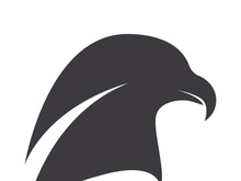 Eagle head animal vector