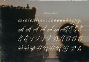 Delsya Script | Elegant Vintage Script