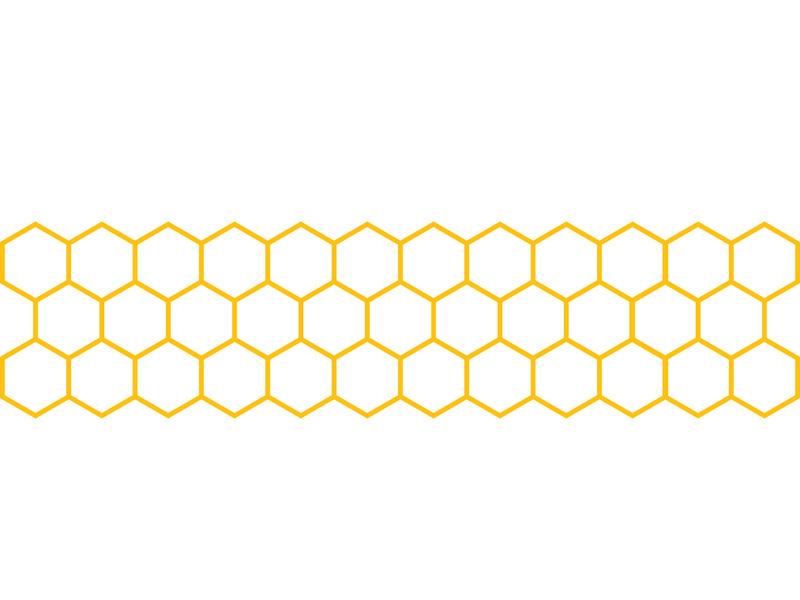 Bee icon design illustration