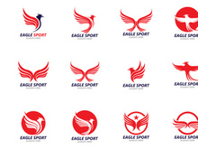 Wing Bird Falcon red logo vector