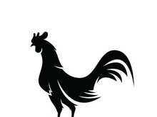 Rooster Logo  Chicken Head icon and symbol Designs Template
