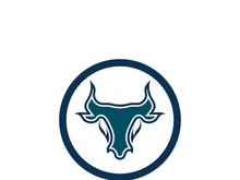 Bull head logo vector icon design illustration