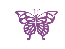 Butterfly, SVG Vector Illustration